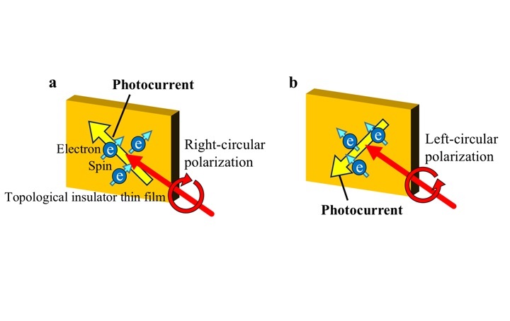 Schematics of spin-polarized photocurrent on the surfaces of TI thin films generated by optical pulses