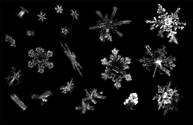 A variety snowflakes