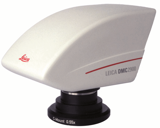 The Leica DMC2900 for routine brightfield applications