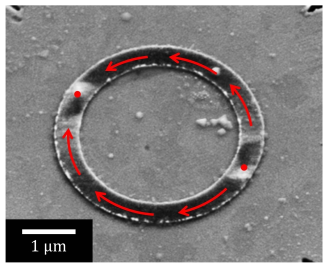 Image of a ferromagnetic ring prepared using a scanning electron microscope