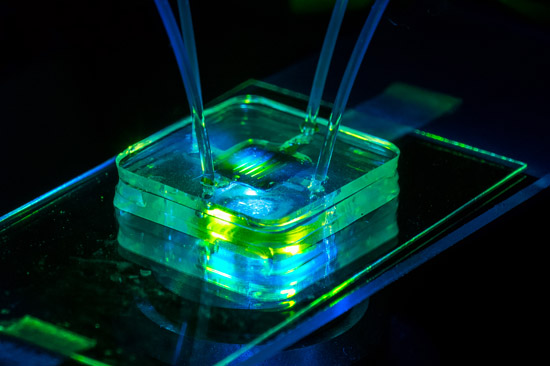 A microfluidic bioreactor consists of two chambers separated by a nanoporous silicon membrane