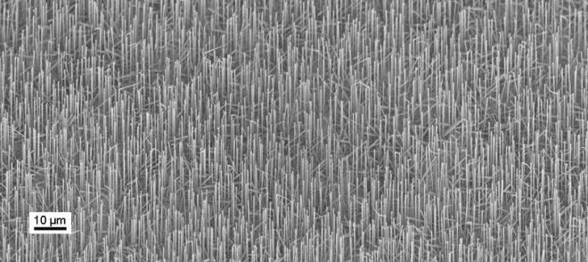 Semiconductor Nanowires Dec News