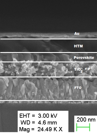 Scanning electron microscopy of a Perovskite-solar cell