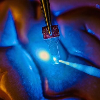 A blue light shines through a clear implantable medical sensor onto a brain model