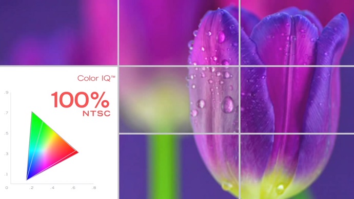 Color IQ is used to produce 100 percent of the color gamut in all squares