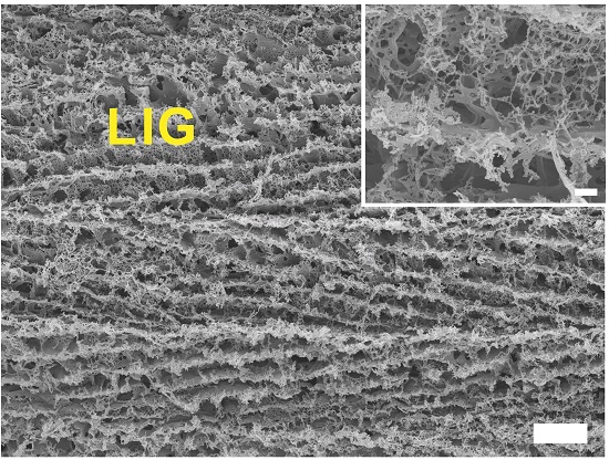 A scanning electron microscope shows a close-up of laser-induced graphene foam produced by researchers at Rice University