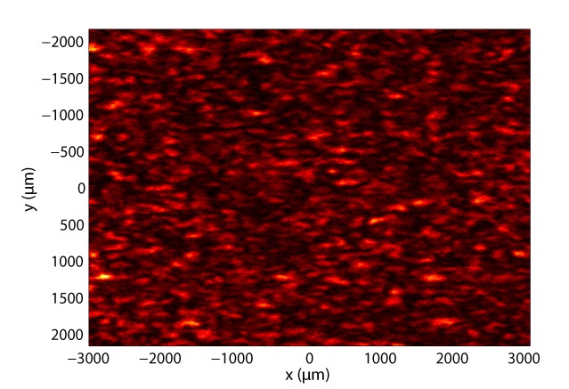 Speckle pattern recorded when illuminating an apple