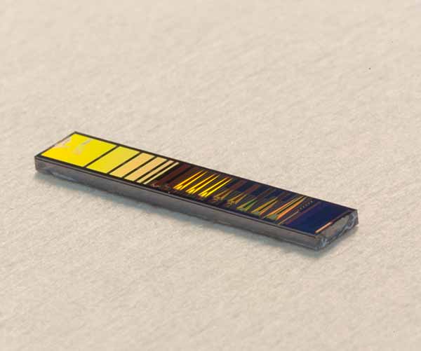The silicon photonic chip