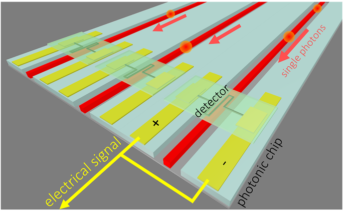 Illustration of superconducting detectors on arrayed waveguides on a photonic integrated circuit