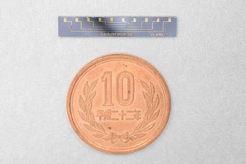 The photonic chip