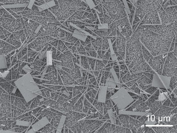 Unsorted nanowire crystals immediately after production