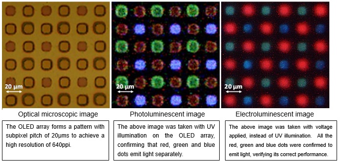 Enlarged images of the OLED array