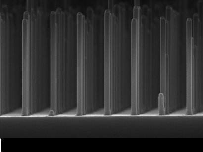 Array of nanowires gallium phosphide made with an electron microscope