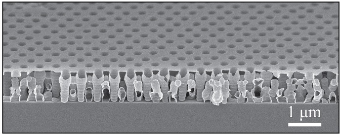 This image shows the structure of the dielectric film at the micrometer scale. Image credit: Chih-Hao Chang. Click to enlarge