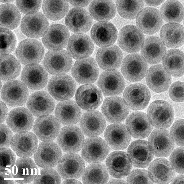 A transmission electron microscopy image of the new nanoparticles