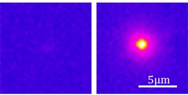 An infrared camera captures the luminescence (emission of light) after optical excitation of both nanostructures