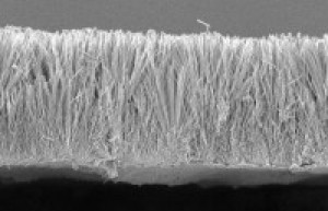 A cross-section of nanowire film
