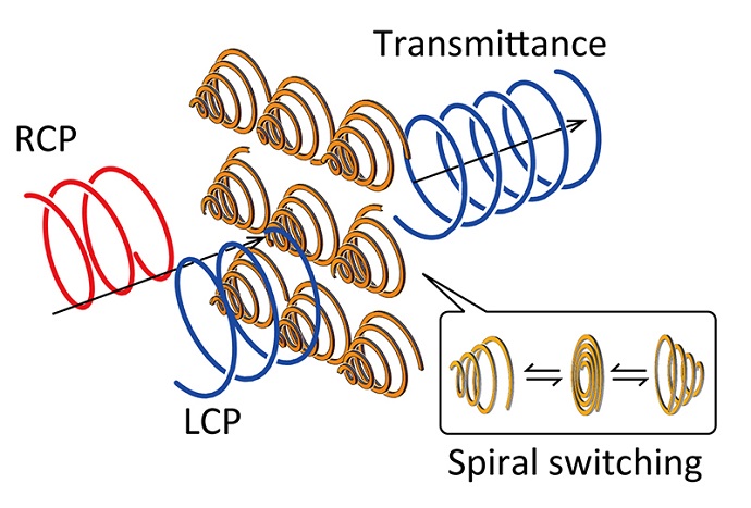 A schematic illustration of polarization modulation by the spiral metamaterial