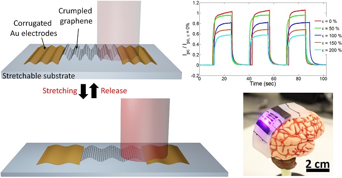 Stretchable photodetector