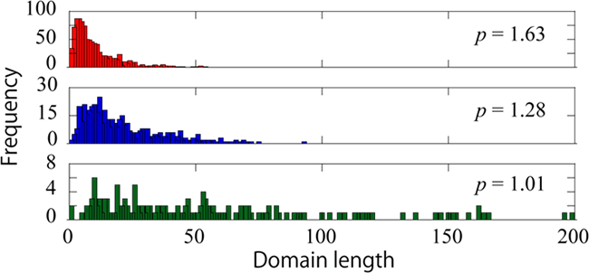 Domain length distribution for various normalized pump amplitudes