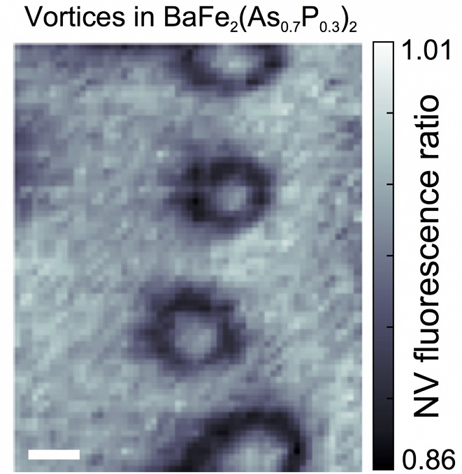 A nitrogen-vacancy magnetometry image of vortices formed by cooling the sample through its superconducting transition