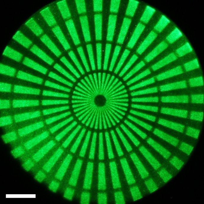 Image of a Siemens star formed by the meta-lens at wavelength 540 nm