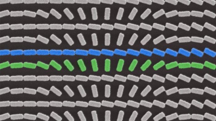 Two arrays of titanium oxide nanofins, scale bar 600 nm
