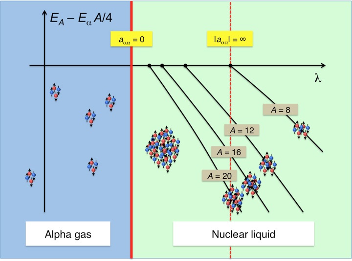Diagram showing a quantum phase transition from a gas of alpha particles to a nuclear liquid