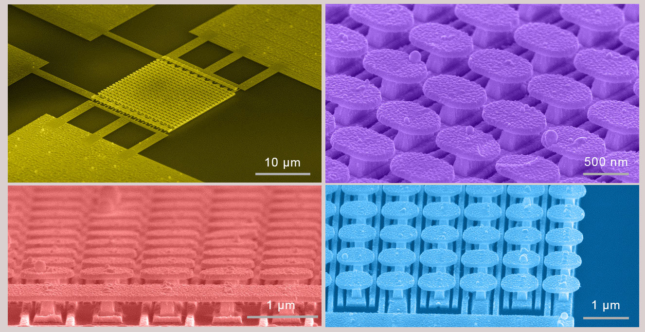 Scanning electron micrograph images of the semiconductor-free microelectronic device and the gold metasurface