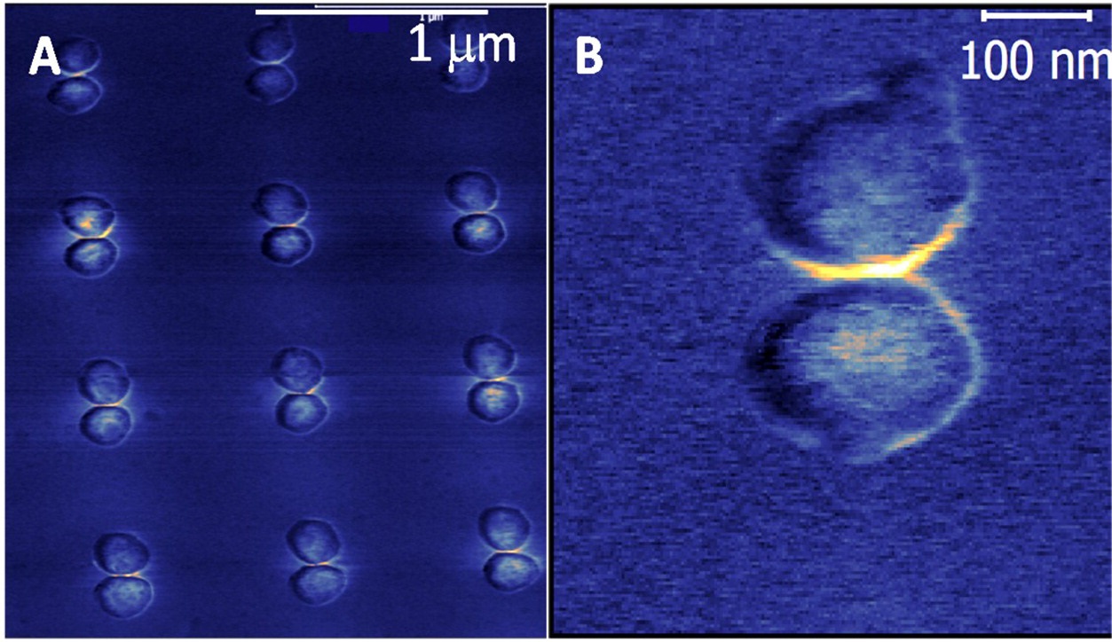 These images show the measured optical forces for an array of plasmonic gold disc pairs known as dimers that were probed by an atomic force microscopy tip