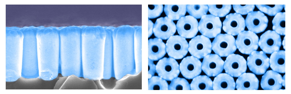 SEM images of a nanotube array