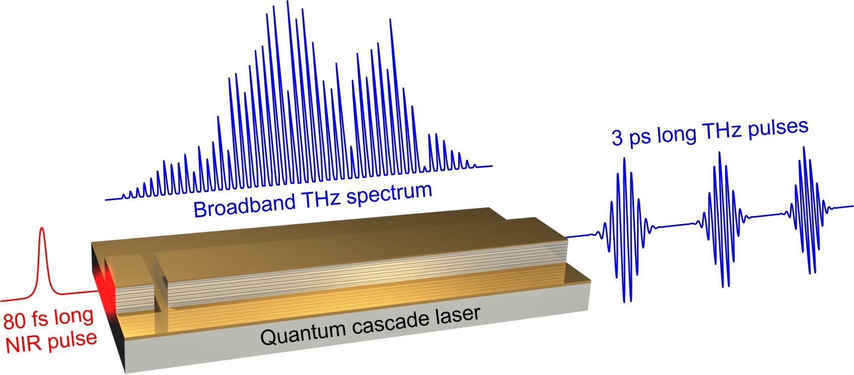Illustration of a broadband terahertz amplifier based on a quantum cascade laser