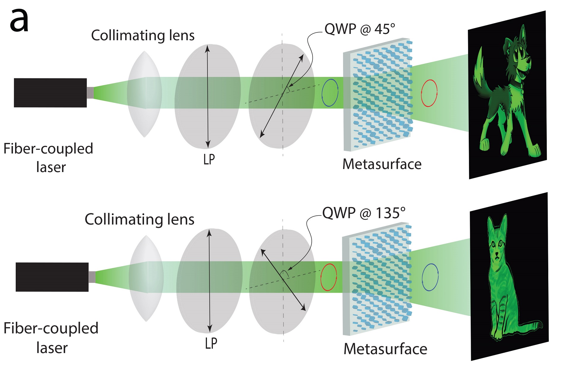 A single metasurface encodes two separate holograms