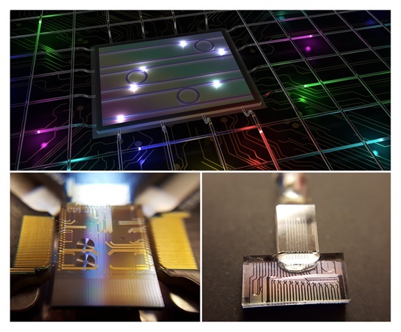 High-dimensional color-entangled photon states from a photonic chip, manipulated and transmitted via telecommunications systems