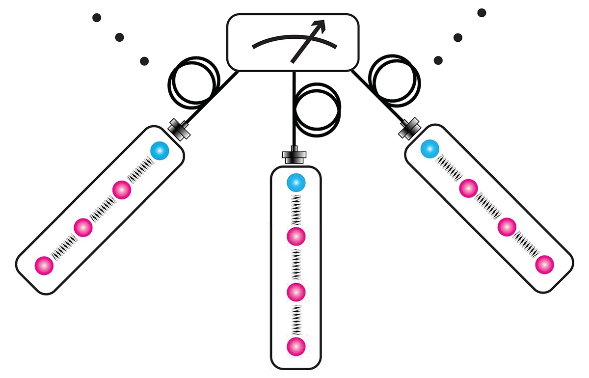 A schematic of three nodes in a quantum network, wired together by fiber optic cables and connected to a central sensor