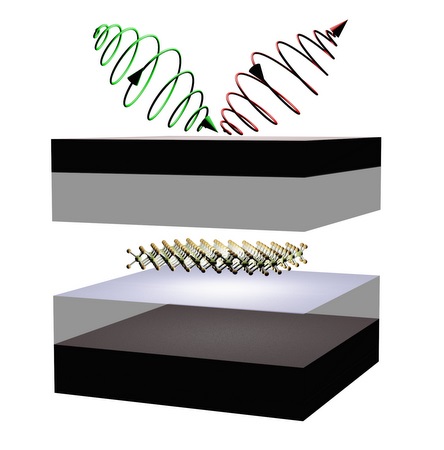 Schematic showing control of valley properties in 2D semiconductors embedded in microcavity