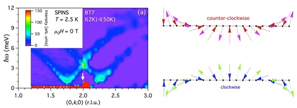 Observed spin-wave dispersion relations and corresponding spin fluctuations in the circularly polarized states