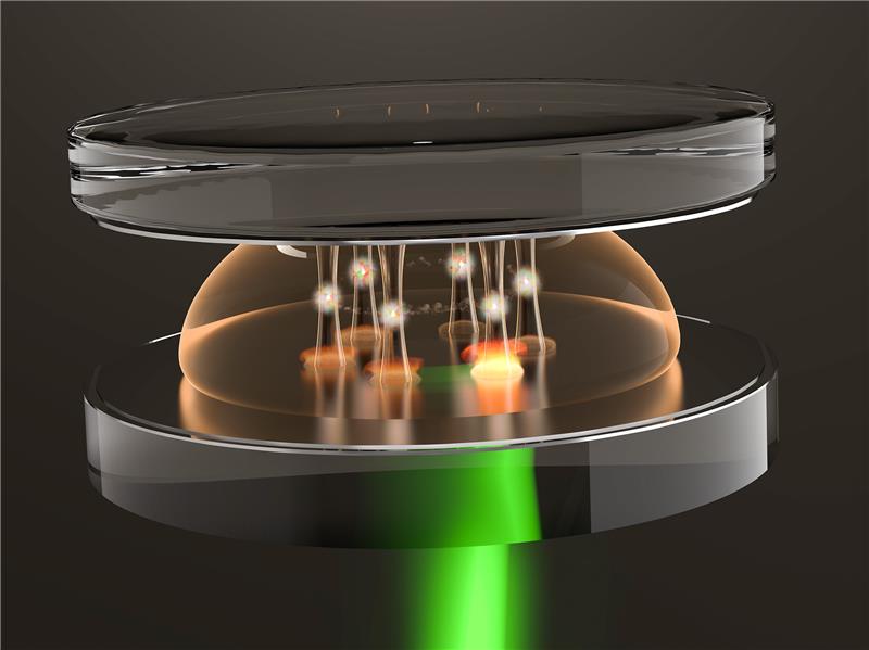 The artist's rendering shows how potential wells are created for the light in the microresonator through heating with an external laser beam