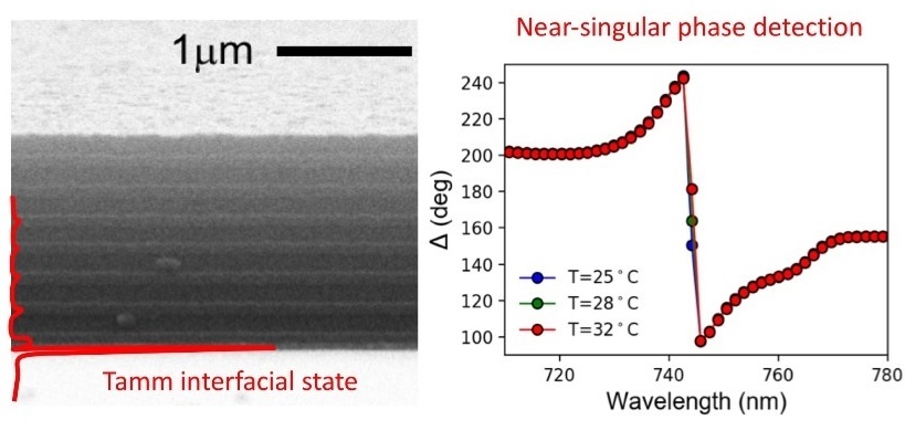 a planar absorber topologically engineered to support an interfacial Tamm optical state