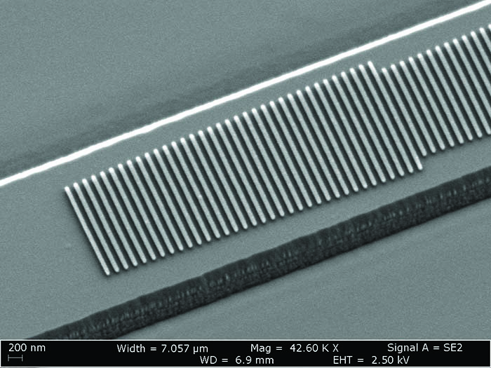 Scanning electron microscope image of the fabricated device