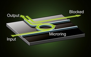 Concept of the microring diode