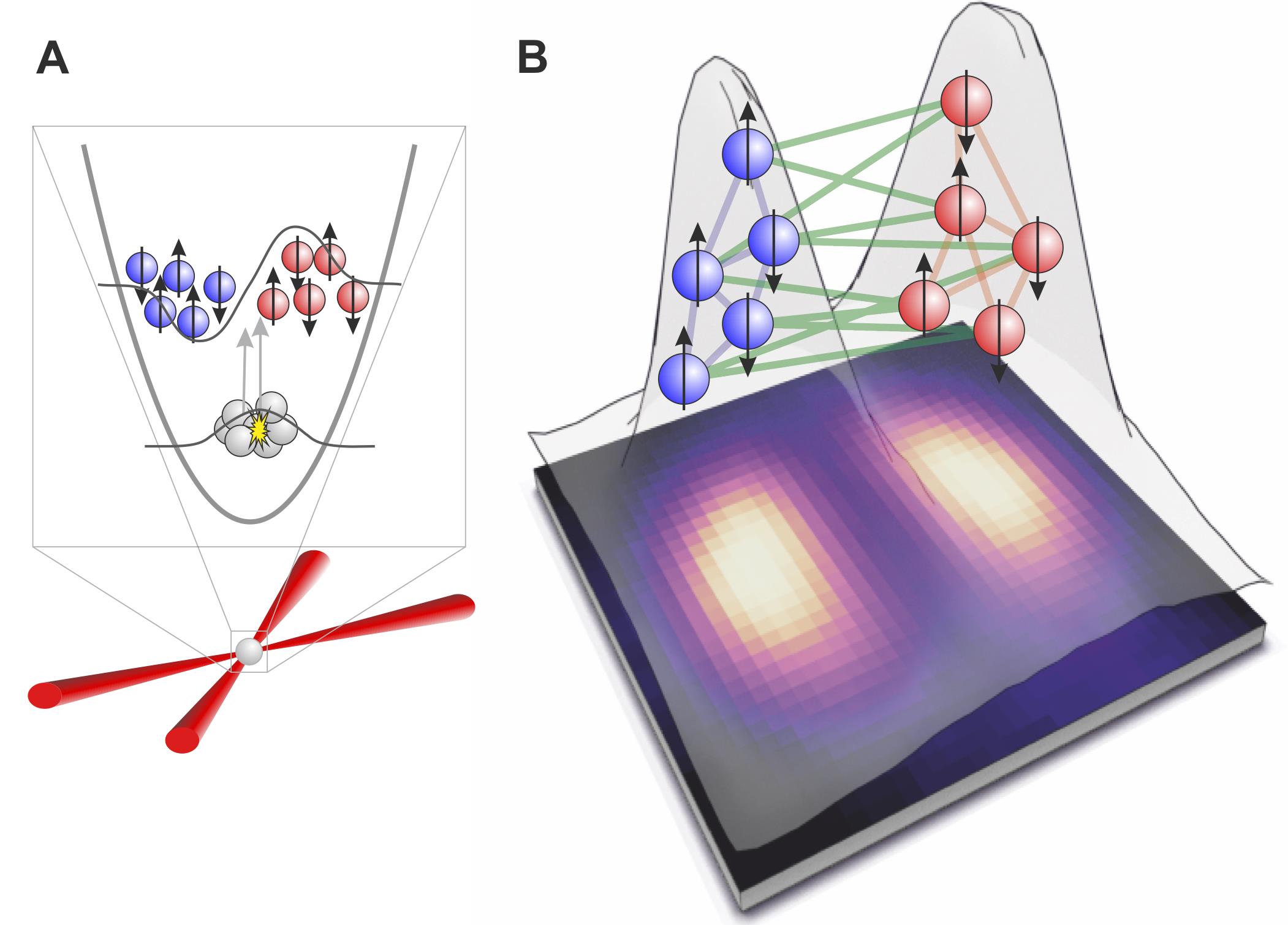 Illustration of the quantum entanglement achieved between the two clouds of atoms starting from a single Bose-Einstein condensate