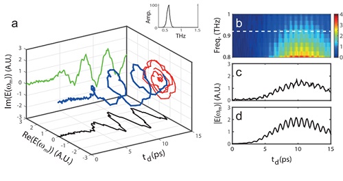 The complex amplitude of light at the converted frequency with the variation of a spatiotemporal boundary
