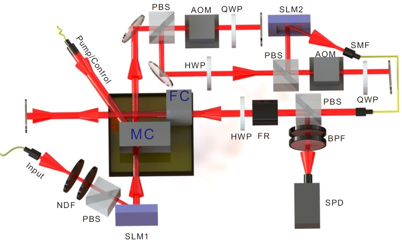 Multi-degree-of-freedom multiplexing quantum storage experimental device
