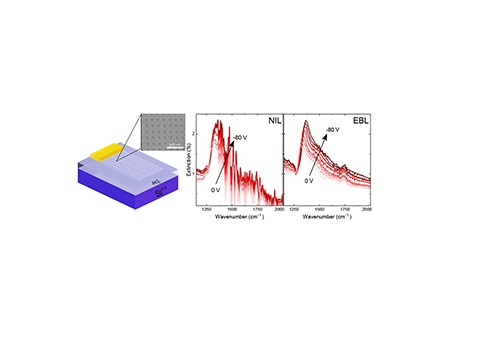 Electrostatic tuning of the plasmonic peaks in graphene nanostructures fabricated by nanoimprint lithography