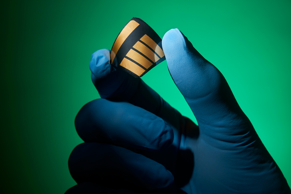Solar cells made of perovskite have great promise, in part because they can easily be made on flexible substrates, like this experimental cell