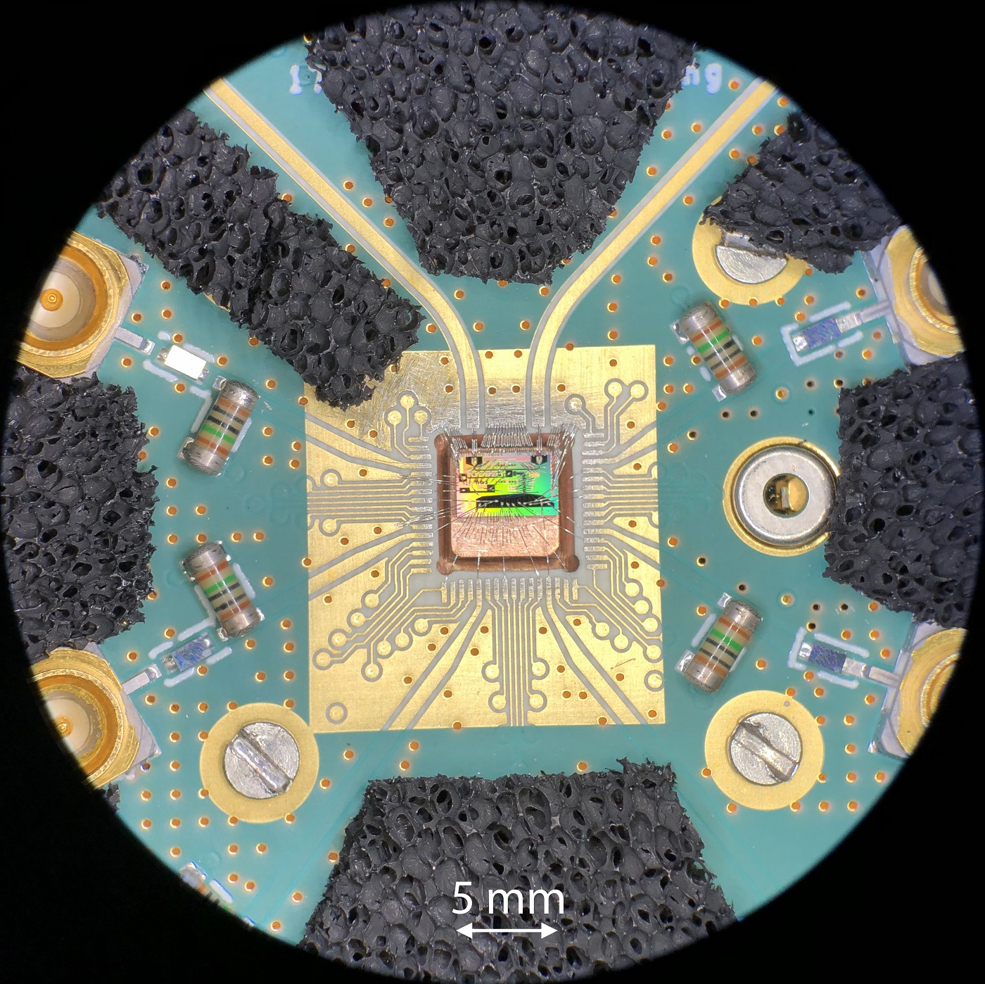 Optical microscope image of the quantum chip electrically connected to a printed circuit board
