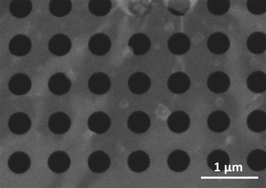 SEM image of the waveguide structure: a suspended tungsten disulfide monoloayer patterned with nanosized holes