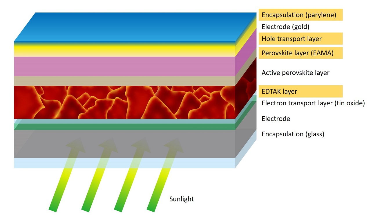 Perovskite solar cells and modules consist of many layers, each of which has a specific function. The scientists added or modified the layers highlighted in orange.