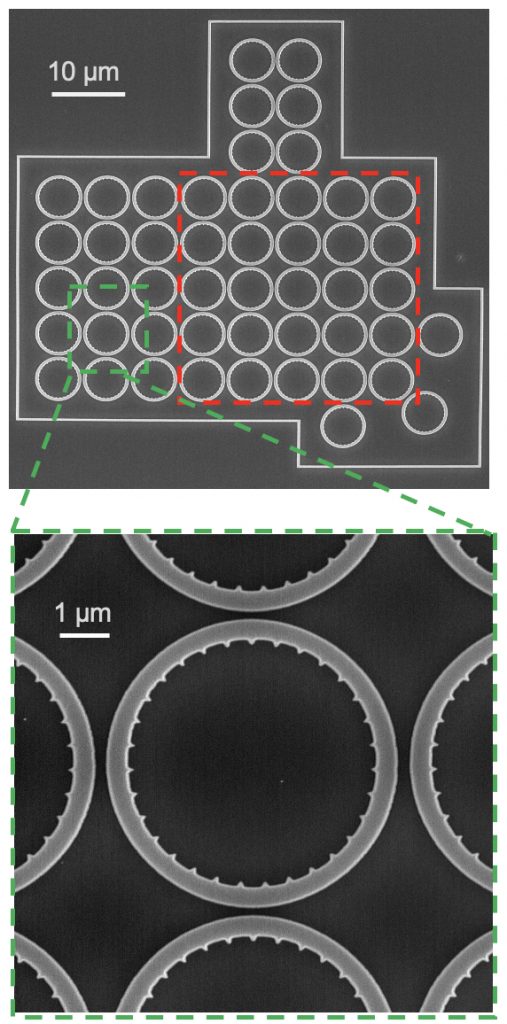 Feng and his colleagues used arrays of ring-shaped microlasers in their experiments